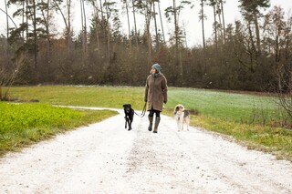 mobile Hundeschule