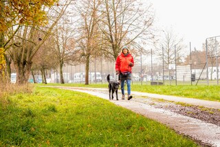 privater Hundetrainer in Neustadt-Aisch