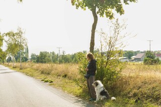 privates Hunde- oder Welpentraining