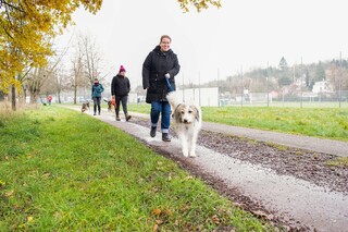 mobile Hundeschule Nicole Reininger